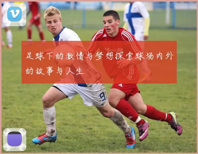 足球下的激情与梦想探索球场内外的故事与人生