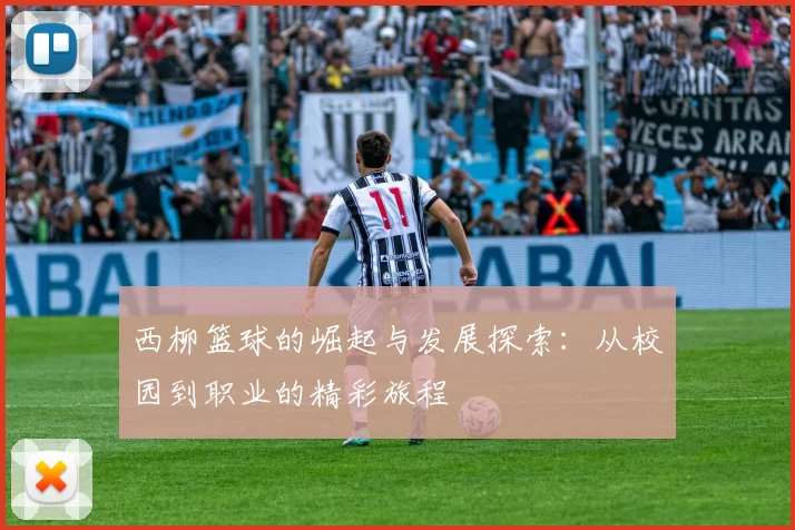 西柳篮球的崛起与发展探索：从校园到职业的精彩旅程
