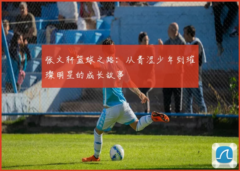 张文轩篮球之路：从青涩少年到璀璨明星的成长故事