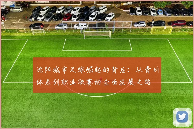 沈阳城市足球崛起的背后：从青训体系到职业联赛的全面发展之路