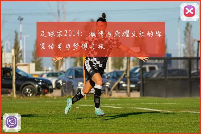 足球家2014：激情与荣耀交织的绿茵传奇与梦想之旅