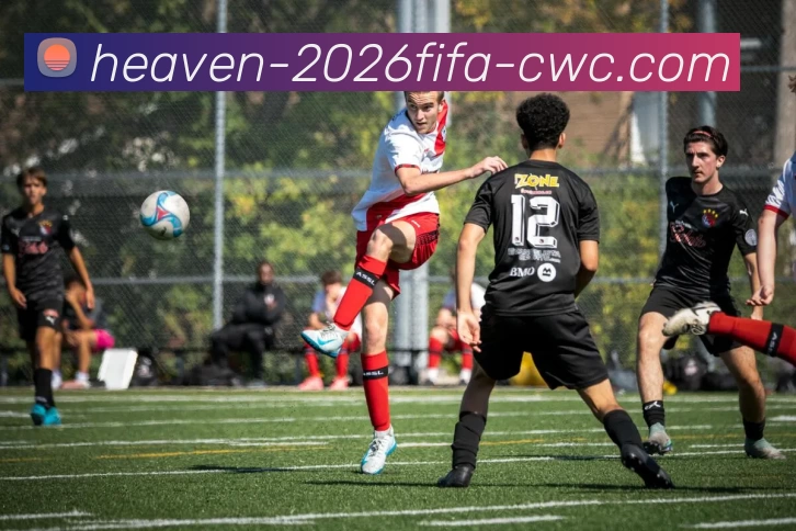 足球买球网服务体系